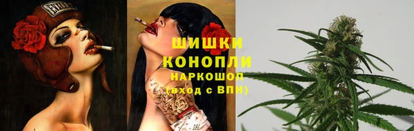 шишки Богданович