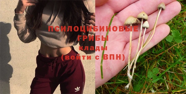 шишки Богданович