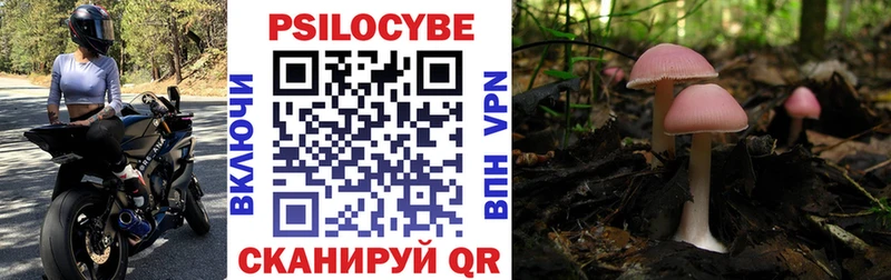 Псилоцибиновые грибы GOLDEN TEACHER  ОМГ ОМГ   Волгореченск  продажа наркотиков 